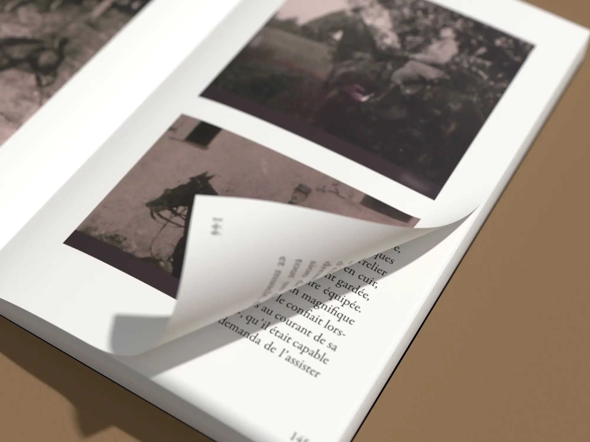 Page qui se soulève sur les photographies de cavalerie